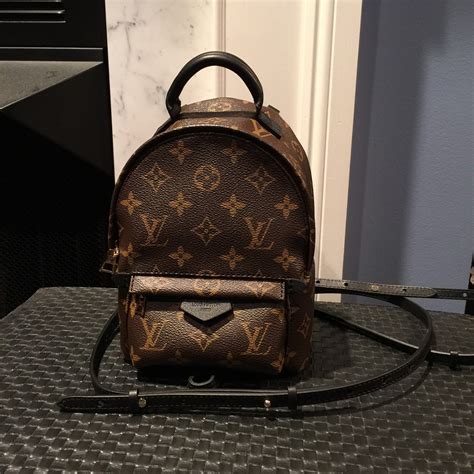 lv palm springs backpack|louis vuitton backpack mini price.